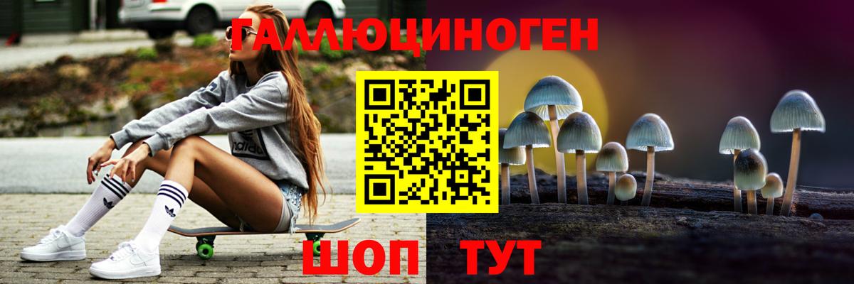 Галлюциногенные грибы Psilocybe Борзя